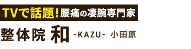 小田原市で腰痛改善なら「整体院 和-KAZU- 小田原」ロゴ